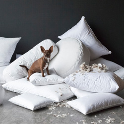 Shop Bella Notte Inserts At Peace Love & Decorating